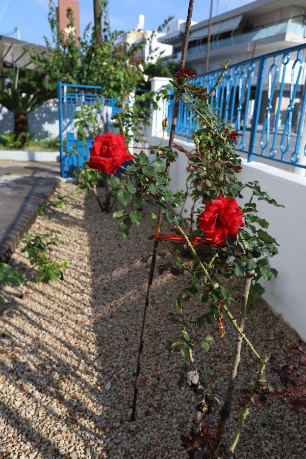 Traditional Town Garden Apartment *